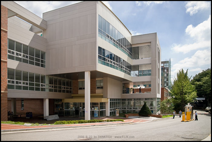 20080822_2.jpg