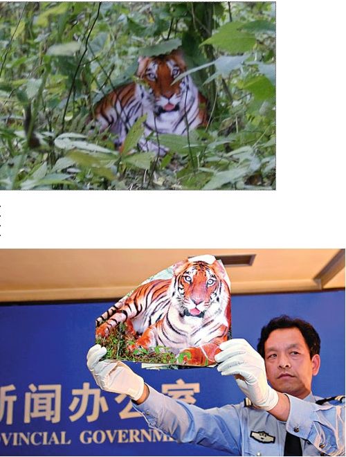 호랑이 사진 제보로 포상금을 노린 농부의 사기행각.jpg